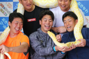 今年はDeNA新人選手キャンプ恒例の白蛇体験とかあるのかな？