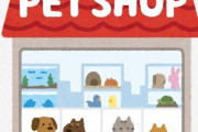 【悲報】日本のペットショップと動物園、ガチで廃業の危機・・・