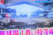 A ホームベースを外野方向にずらす　B 客席を一部破壊する　C 日ハムだけ特例　D 札幌ドーム