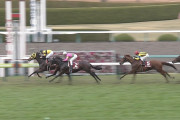 【競馬】中山の芝の時計がかかりまくってる件【4レース1600㍍1.39.1】