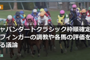 ジャパンダートクラシック枠順確定、フィンガーの調教や各馬の評価