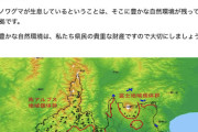 【専門家が警鐘】市街地にクマが出没する理由とは！