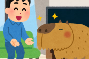 ぼく「カピバラかわいい！飼いたい！」カピバラ「ふーん食費毎月3万円かかるけど大丈夫？」