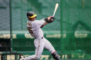 阪神江越「レギュラーを奪う」シート打撃でアピール