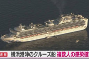 【悲報】厚労省「クルーズ船、全員のウイルス検査は不要。症状のない人は帰宅」
