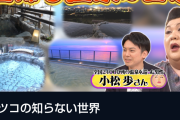 「今のはひどい」　マツコ・デラックスの度が過ぎた素人イジリにスタッフからも非難…　視聴者からは「なぜ黙認されるのか」の声