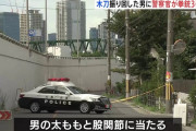「刃物を捨てろ、撃つぞ」 警察官が木刀を振り回す男に3発発砲、2発命中