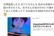 【悲報】迷惑系YouTuberあやなんさん、SNSで暴れまくった結果子供がいじめられてしまう