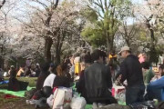 新型コロナの大流行中に花見をする日本人とアメリカ人に対する海外の反応