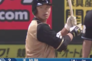 【朗報】日ハム王柏融  1.000