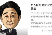 安倍晋三の次にちんぽを晒すことを要求されそうな政治家