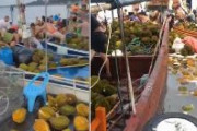 【中国】　海上を漂うドリアンを住民らが争奪、360人以上が食中毒に