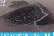 【爆笑】新たに発見された「ナスカの地上絵」ｗｗｗｗｗｗｗｗｗｗｗｗｗｗｗｗｗｗ