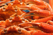 【?の話題】北海道で大量発生の厄介者「オオズワイガニ」　「松葉がに」とよく似てる？味は？　成長速度約4倍…カニ相場への影響に警戒