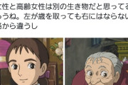 【悲報】一般女性様、宮崎駿に物申す「宮崎駿は若い女性と高齢女性が違う生き物だと思っているのか？」→4.7万いいねｗｗｗｗｗｗｗ