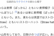 【朗報】ワンピースに登場する「麦わら帽子」、太陽から身を守るためのものだったｗｗｗｗｗｗ