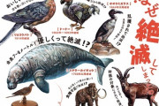 地球上から絶滅したと思われていたが再発見された生き物たち