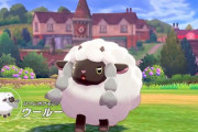 【ポケモン剣盾】色違いウールー出たんやがｗｗｗｗｗｗｗ
