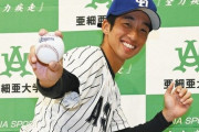 正直なんで田中幹也が6位だったのか