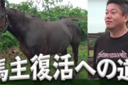 ホリエモン、再度馬主を目指すwまずは母馬探しw