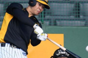 阪神・佐藤輝明、４スタンス理論に手応え「すごい打球も飛ぶようになった」強化練習でさらにレべルアップへ