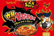 【速報】デンマーク政府が韓国ラーメンをリコール「核ブルダック炒め麺」　デンマーク食品管理局「カプサイシンの数値が非常に高く消費者が急性中毒を起こす危険がある」