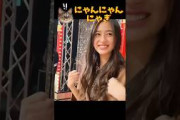 にゃんにゃんにゃぎ #乃木坂46 #乃木坂工事中