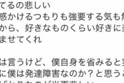 【悲報】カービィオタクさん、ついに己が発達障害であることを認めてしまう