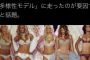 米セクシー下着大手のヴィクトリアズ・シークレットさん、多様性を重視した結果凄いことにwww #画像 |  下着姿の外人見てもあまり興奮しないのはなぜだろう？