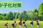 【日本終了】異次元の少子化対策⇒その未来がこうなる模様ｗｗｗｗｗｗｗｗｗｗ