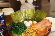 【画像】このラーメン画像がAIか否かで議論が起こるｗｗｗｗｗ