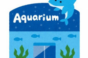 【画像】香川県にある四国水族館の『餌を与えないでください』の例がツッコミどころ満載なんだがｗｗｗｗｗ