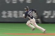 西武スパンジー、内転筋の張りで欠場