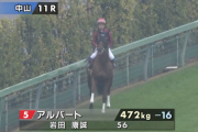 アルバート引退、種牡馬入り