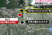 青森・地獄沼周辺で女性がクマに襲われ死亡　専門家「明らかに人を狙って襲っている」