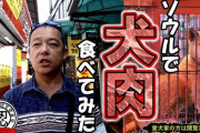 【悲報】参議院議員「日本人は犬肉食やめろ！（渋谷駅で抗議デモ）」普通の日本人さん「日本人では犬は食べ物ではありません！」←これ?