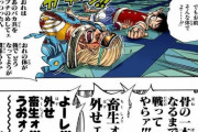 ワンピースでこいつが仲間になると思ってた奴いっぱい居そうだよな