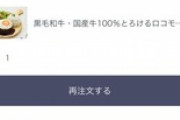 たっかいハンバーグの出前頼んだったんだがｗｗｗ（※画像あり）