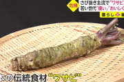 【悲報】若者のワサビ離れ