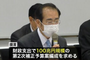 【朗報】一律10万円あと2回、自民若手が100兆円の追加提言