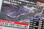 【速報】千葉県館山の海岸に何頭ものクジラが打ち上げられる