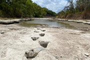 干上がった川の底から「恐竜の足跡」 アメリカで