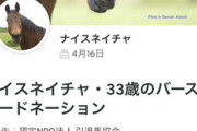 ●ナイスネイチャ号の引退馬寄付　3333万達成する