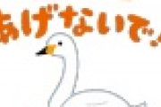 【千葉】白鳥に餌やり注意され激怒 →白取（しらとり）容疑者の行動がヤバい・・・・・