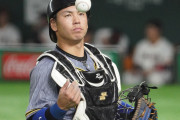 阪神・梅野、広島・九里ら23選手が国内FAを取得　NPBがFA権保有97選手を公示