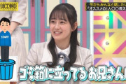 【乃木坂46】向井葉月、ゴミ箱の上に立っているお兄さんに写真を撮ってもらうwww