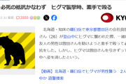 【悲報】ヒグマに襲われた男性の友人、必死に抵抗するもかなわず「素手で殴りまくったけどダメでした…」