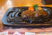さわやかのハンバーグ食うてきたぞ
