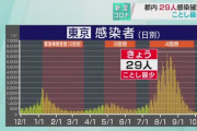 外国人「東京からコロナウイルスがほぼ消える、理由は謎だ」