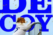 MLBが公開した大谷の愛犬デコピンのコラ画像に海外大騒ぎ！（海外の反応）